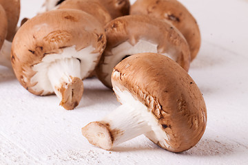 Image showing Fresh brown portobello or agaricus mushrooms