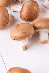 Image showing Fresh brown portobello or agaricus mushrooms