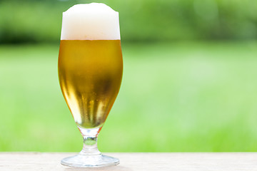 Image showing Elegant glass of cold refreshing beer