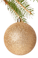 Image showing Christmas ball hanging from a branch of a fir tree