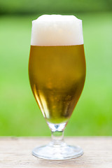 Image showing Elegant glass of cold refreshing beer