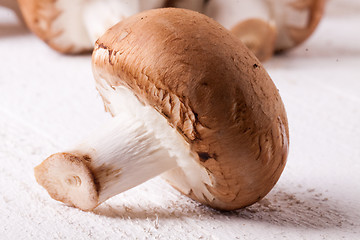 Image showing Fresh brown portobello or agaricus mushrooms