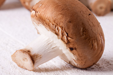 Image showing Fresh brown portobello or agaricus mushrooms