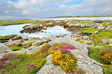 Image showing ireland landscape hdr