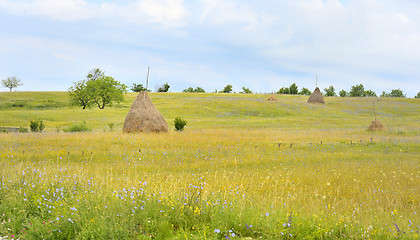 Image showing A stack of hay in Maramure?, Romania