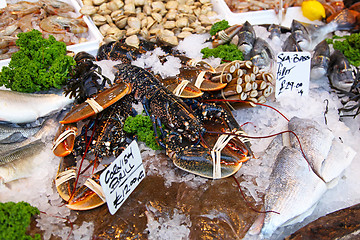 Image showing Lobster