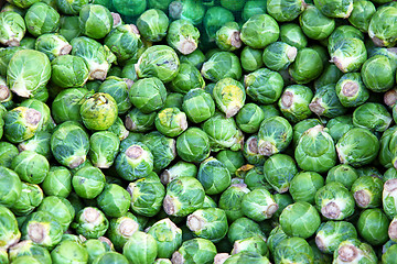 Image showing Brussel sprouts