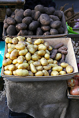 Image showing Potatoes