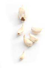 Image showing garlic