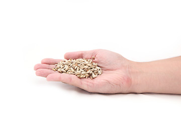 Image showing sunflower seeds on hand