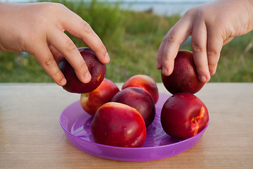 Image showing Taking a fruit nectarine