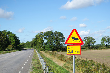 Image showing Moose warning roadsign
