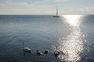 Image showing Summer by the coast