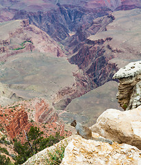 Image showing Grand Canyon Squirrel