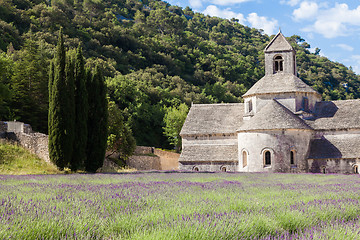 Image showing Lavander field