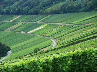 Image showing Kochertal in Hohenlohe