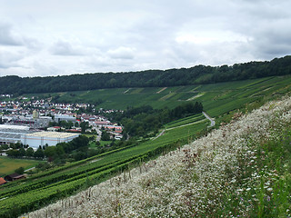 Image showing Kochertal in Hohenlohe