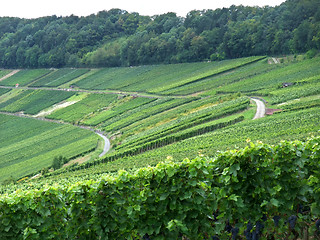 Image showing Kochertal in Hohenlohe