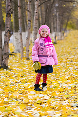 Image showing Little girl outdoors in autumn park