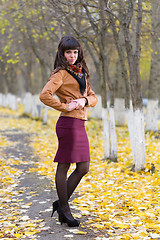 Image showing Glamour girl in the autumn