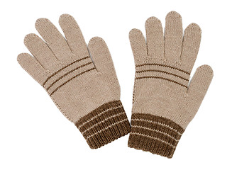 Image showing pair of beige gloves