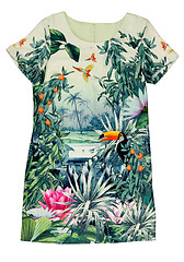 Image showing Dress with a tropical print.