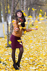 Image showing Autumn Leaves - Stock Image