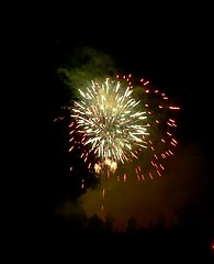 Image showing Fireworks and Trees