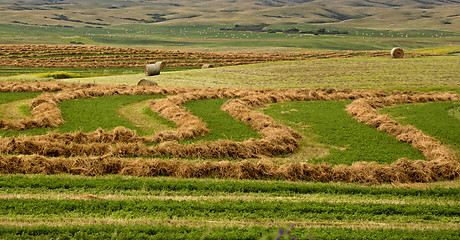 Image showing Farming Saskatchewan