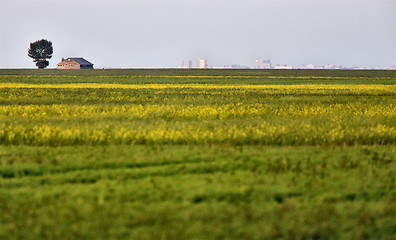 Image showing Abandoned Farm Building