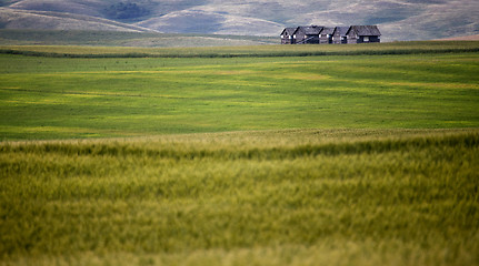 Image showing Abandoned Farm Building