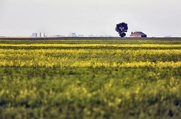 Image showing Abandoned Farm Building