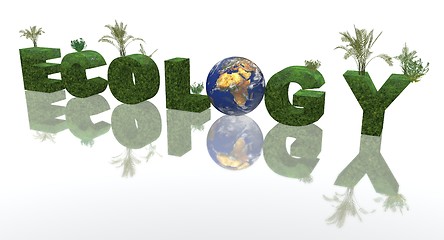 Image showing ecology