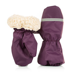 Image showing Children's autumn-winter mittens