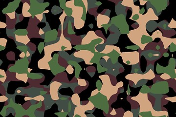 Image showing camouflage