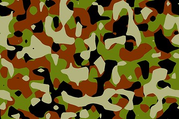 Image showing camouflage