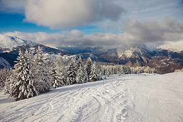 Image showing Skiing