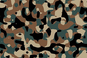 Image showing camouflage