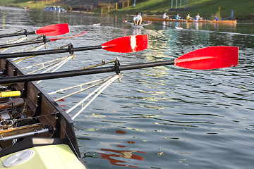 Image showing Boat with a red paddle