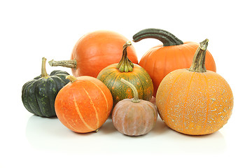 Image showing Pumpkins isolated