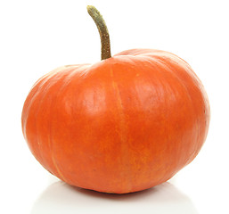 Image showing Pumpkin