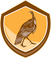 Image showing Turkey Walking Shield Retro