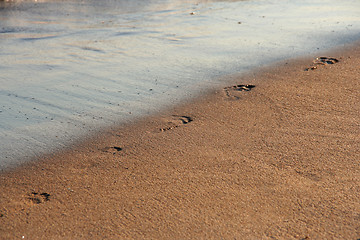 Image showing footprints on the beach