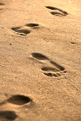 Image showing footprints on the beach