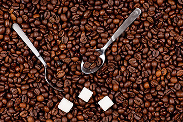 Image showing Coffee beans