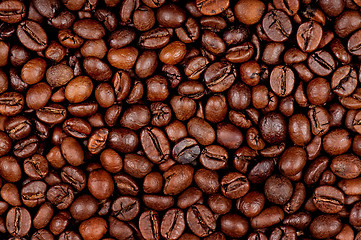 Image showing Coffee beans