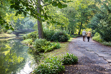 Image showing  Japanese garden