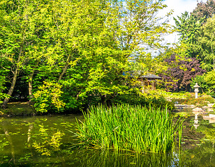 Image showing  Japanese garden