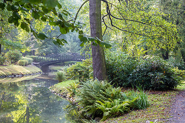 Image showing  Japanese garden