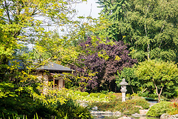 Image showing  Japanese garden